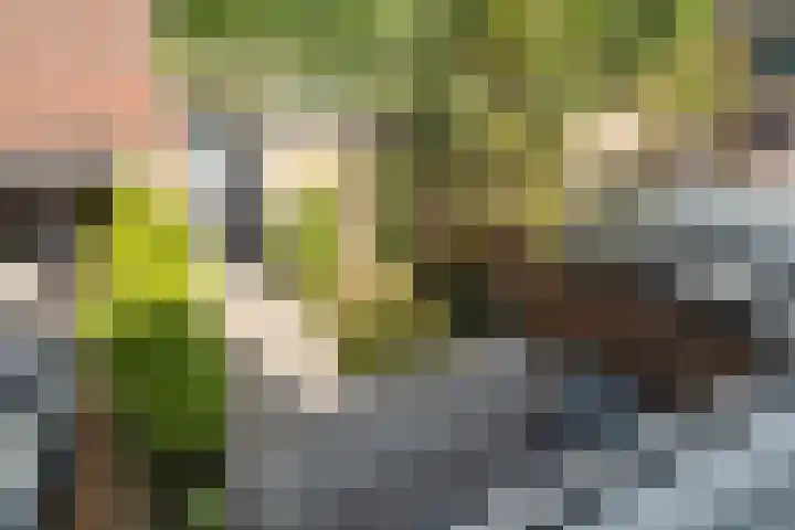 Piershilstraat 47 Zoetermeer thumbnail 42