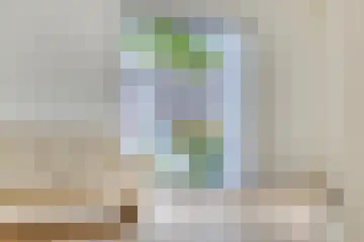 Piersonhof 6 Eindhoven thumbnail 14