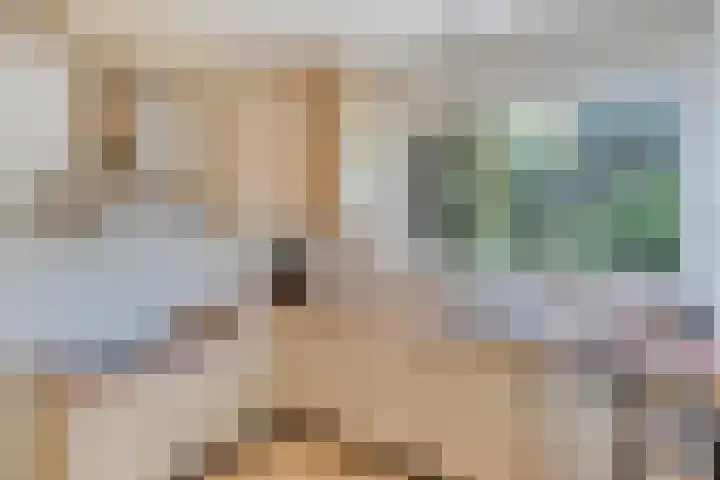 Piersonhof 6 Eindhoven thumbnail 16