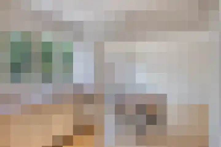 Piersonhof 6 Eindhoven thumbnail 17