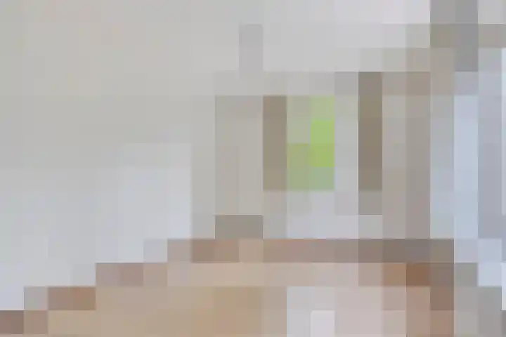 Piersonhof 6 Eindhoven thumbnail 25