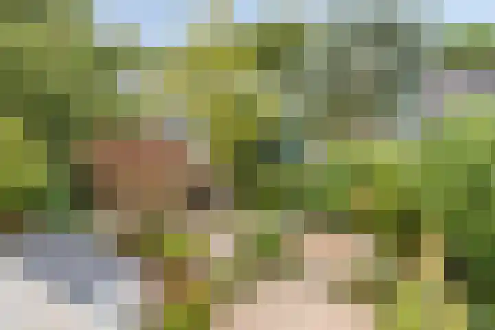 Piersonhof 6 Eindhoven thumbnail 38