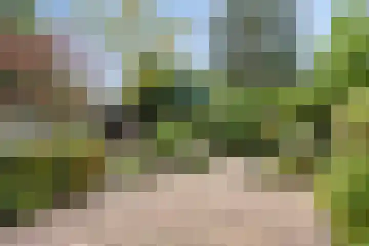 Piersonhof 6 Eindhoven thumbnail 39
