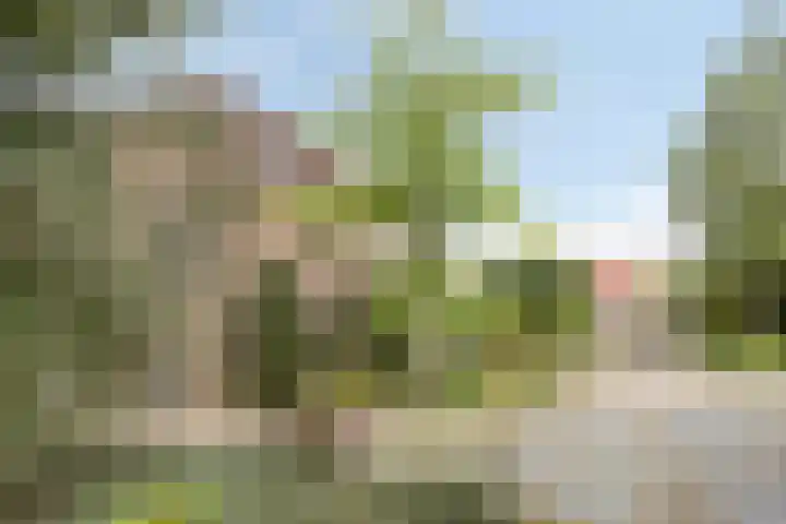 Piersonhof 6 Eindhoven thumbnail 46