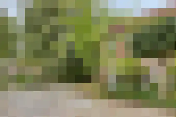 Piersonhof 6 Eindhoven thumbnail 47