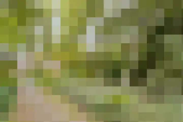 Piersonhof 6 Eindhoven thumbnail 48
