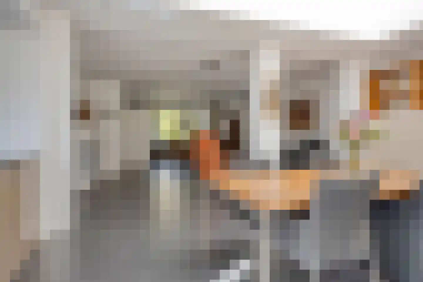 Piersonhof 9 Eindhoven thumbnail 15