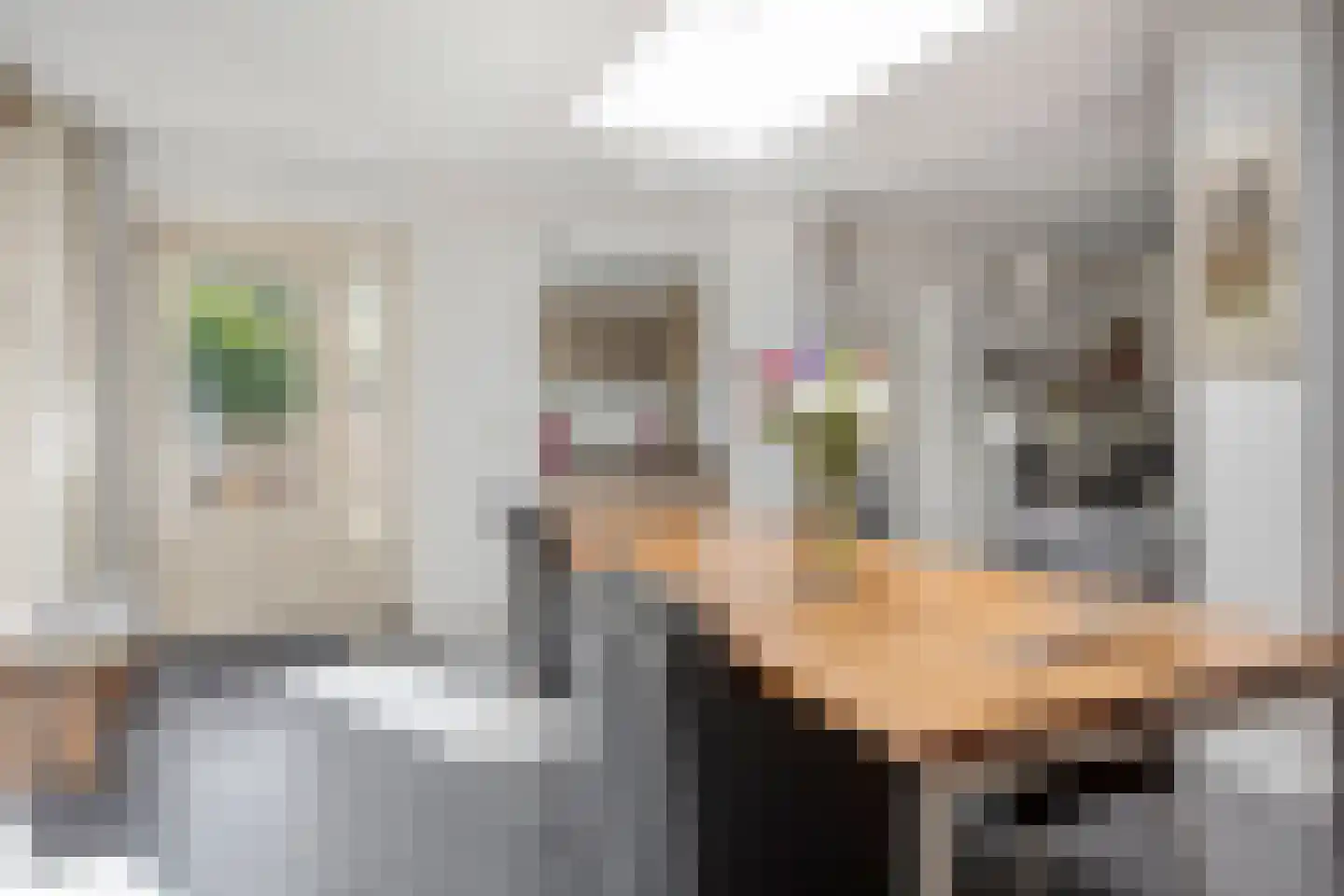 Piersonhof 9 Eindhoven thumbnail 16