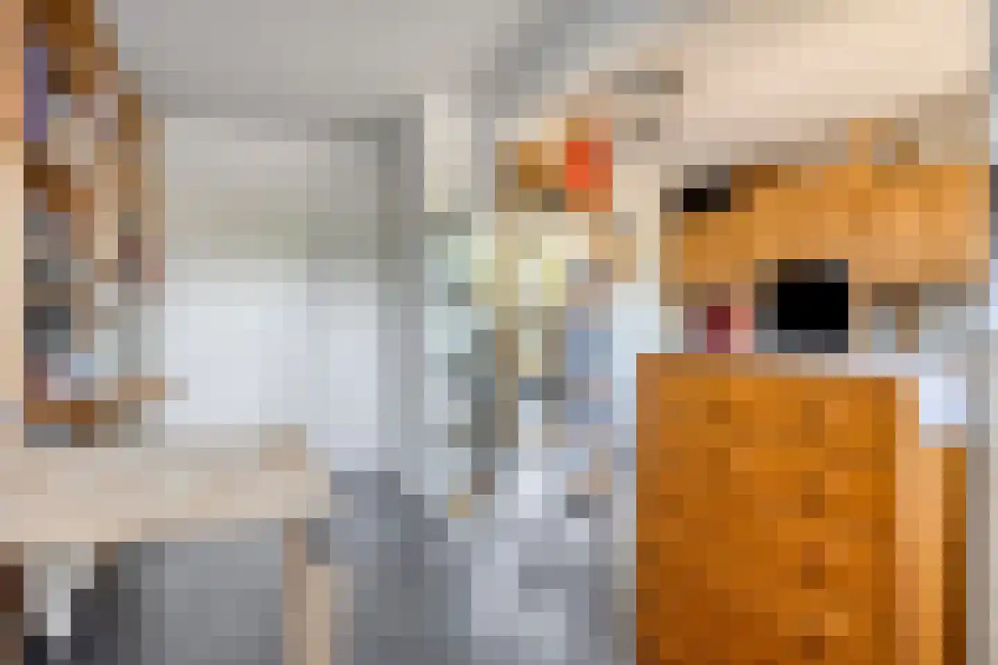Piersonhof 9 Eindhoven thumbnail 32