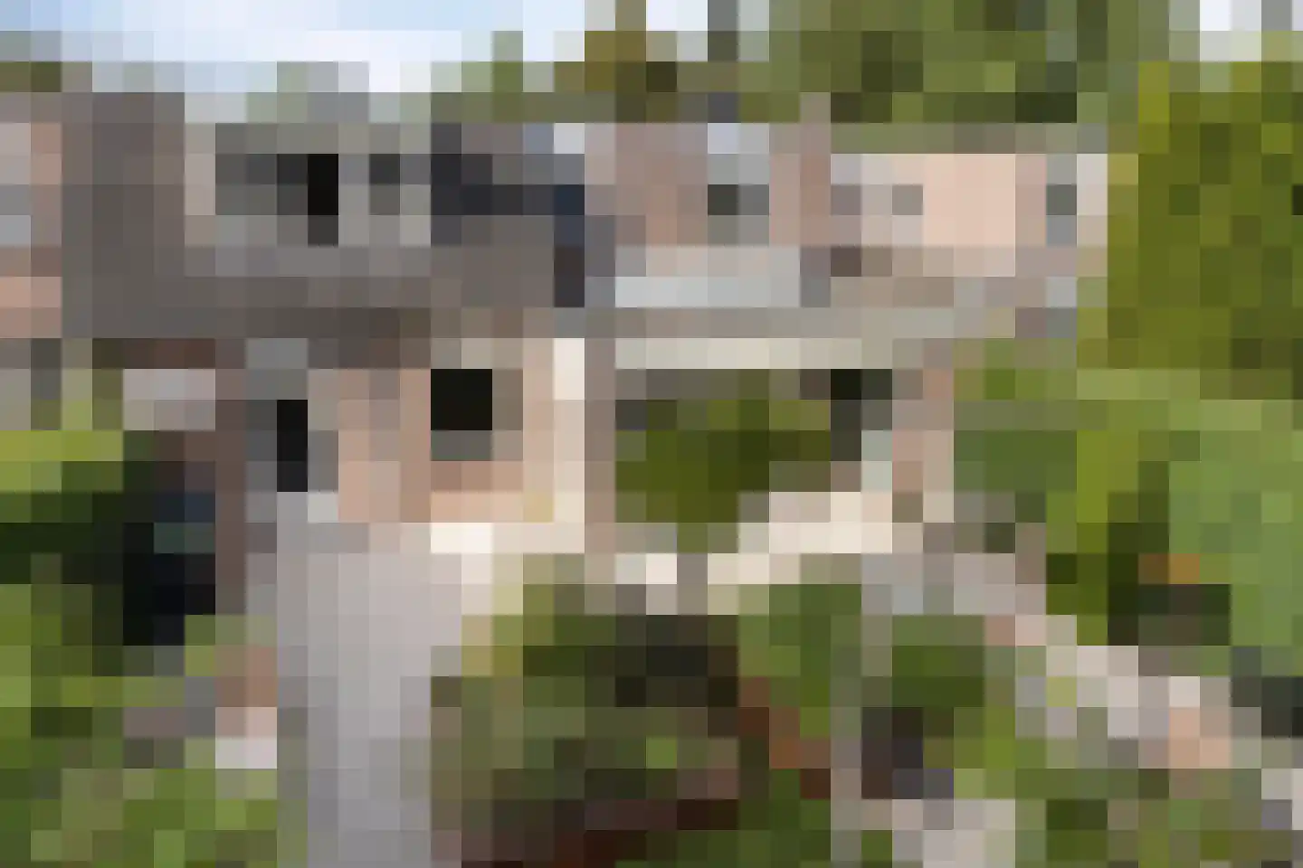 Piersonhof 9 Eindhoven thumbnail 36