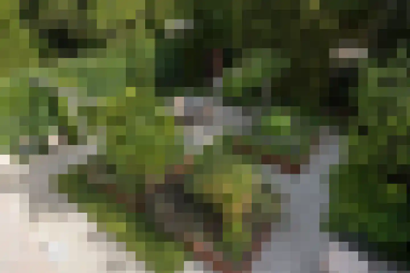Piersonhof 9 Eindhoven thumbnail 42