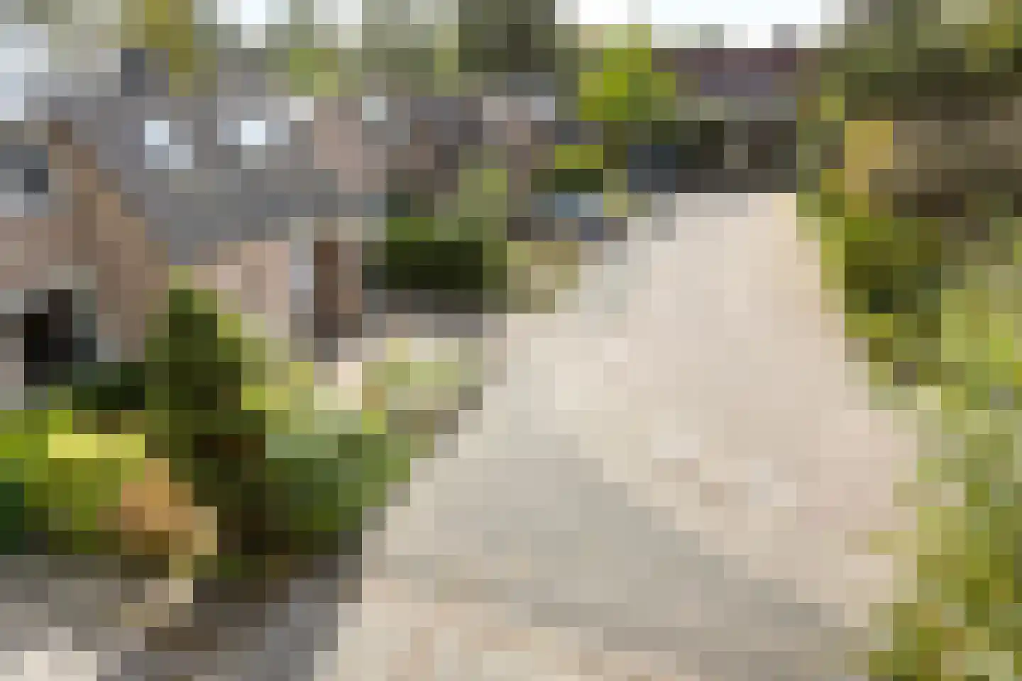 Piersonhof 9 Eindhoven thumbnail 46