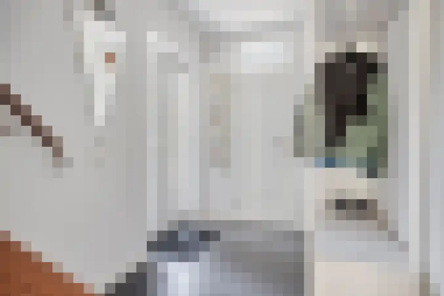 Piersonhof 9 Eindhoven thumbnail 6