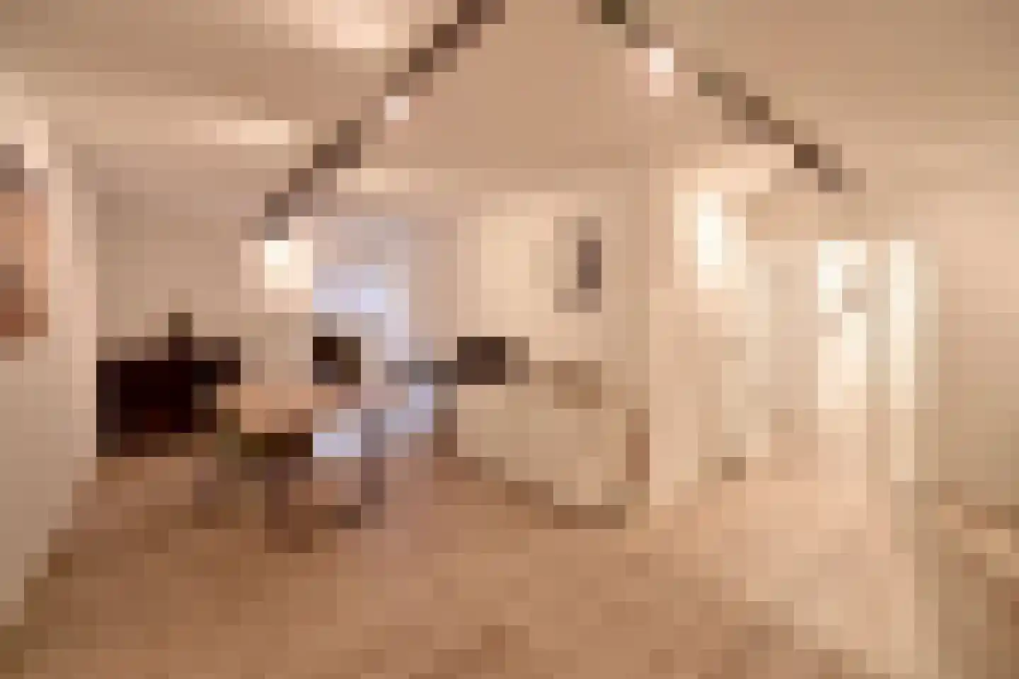 Piersonlaan 10 Huizen thumbnail 10