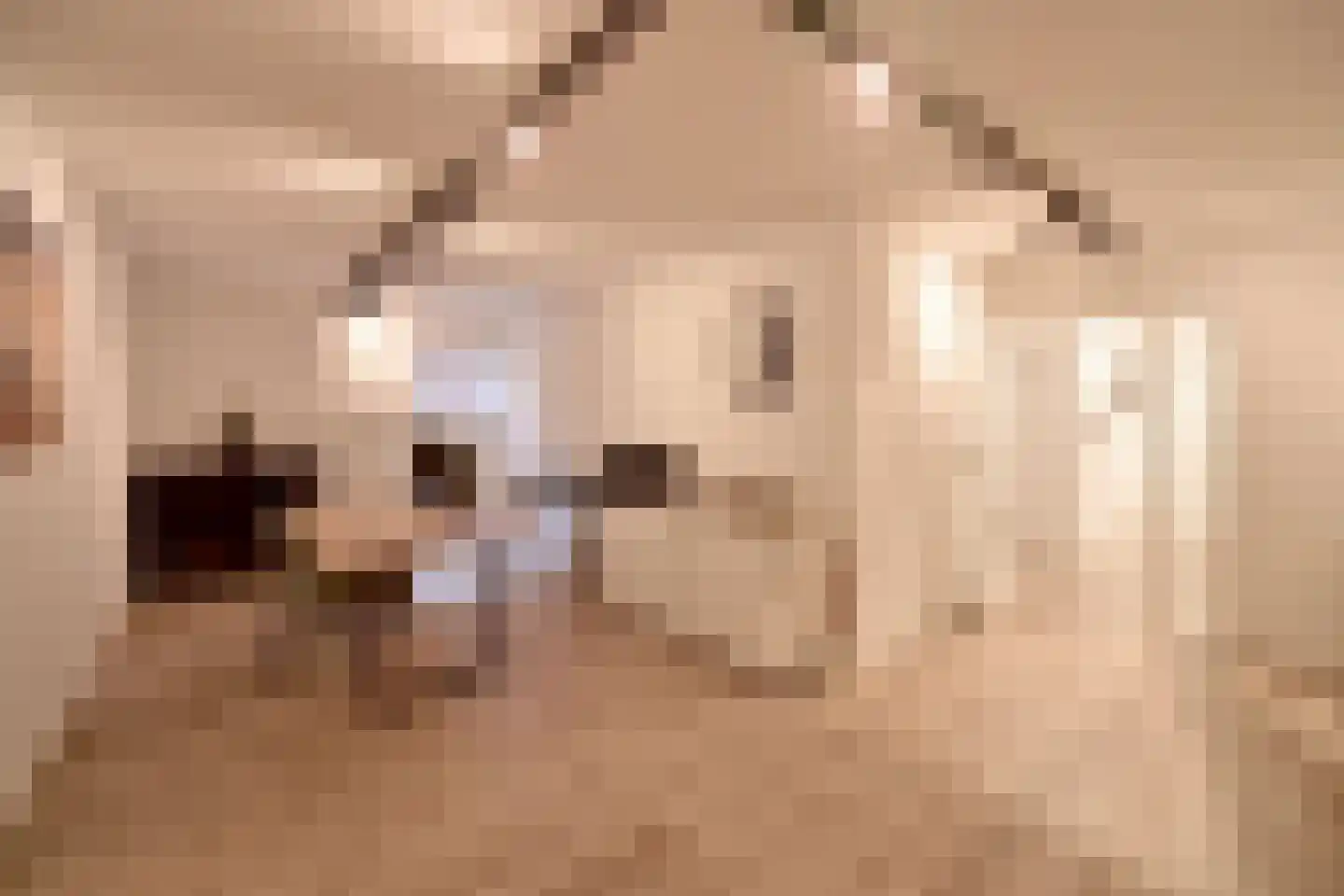 Piersonlaan 10 Huizen thumbnail 12