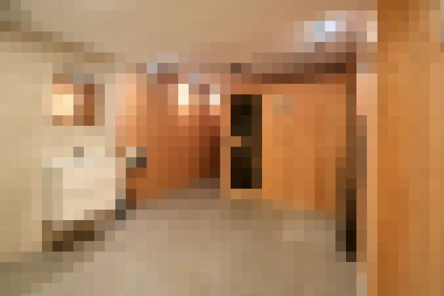 Piersonlaan 10 Huizen thumbnail 14