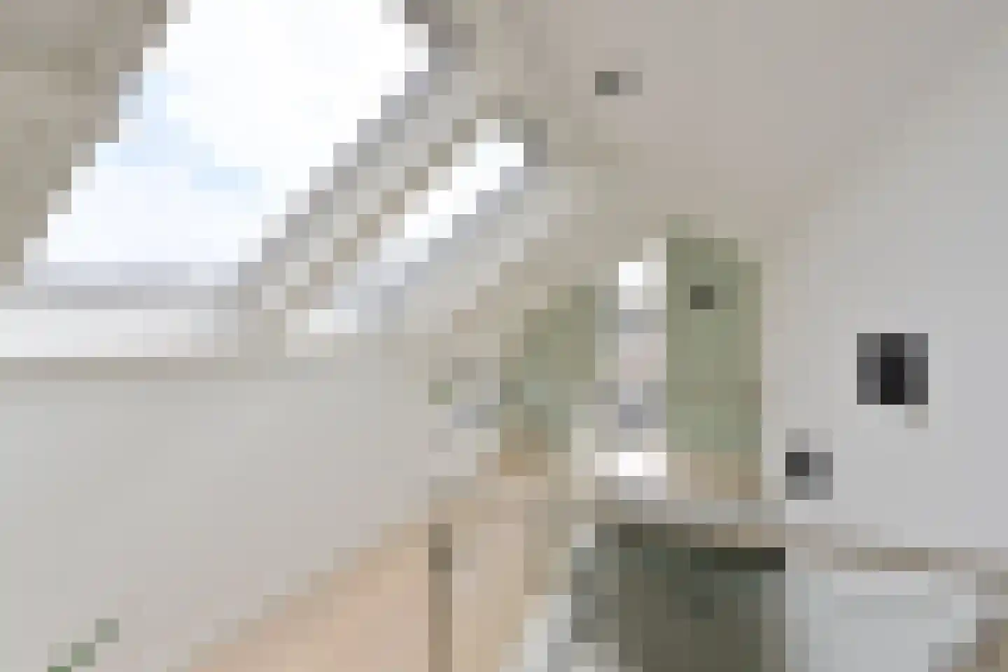 Piersonlaan 10 Huizen thumbnail 21