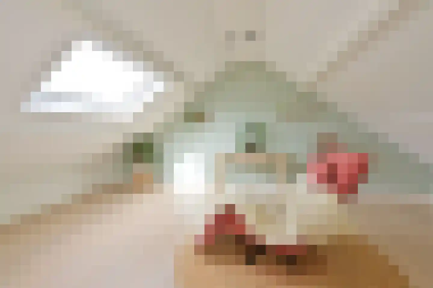 Piersonlaan 10 Huizen thumbnail 22