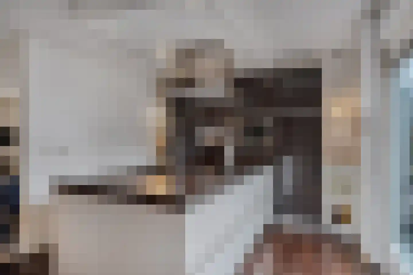 Piersonlaan 16 Huizen thumbnail 16
