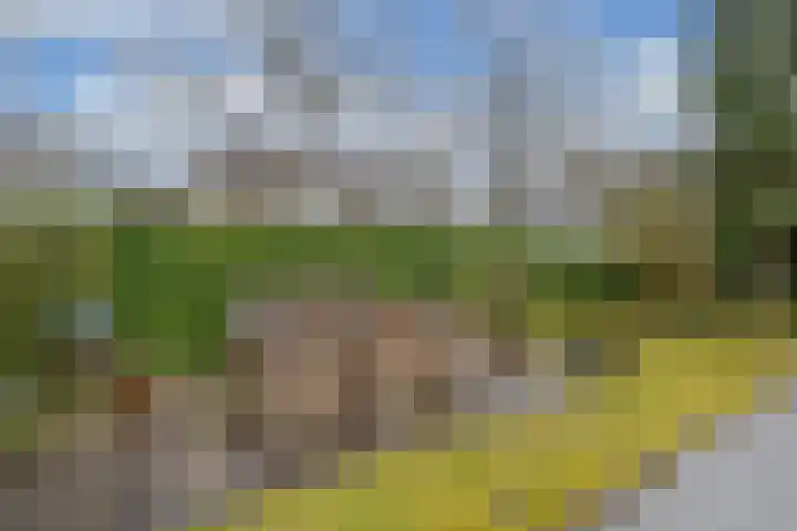 Piersonlaan 16 Huizen thumbnail 26