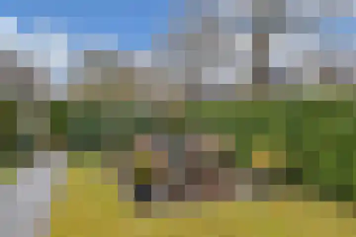 Piersonlaan 16 Huizen thumbnail 27