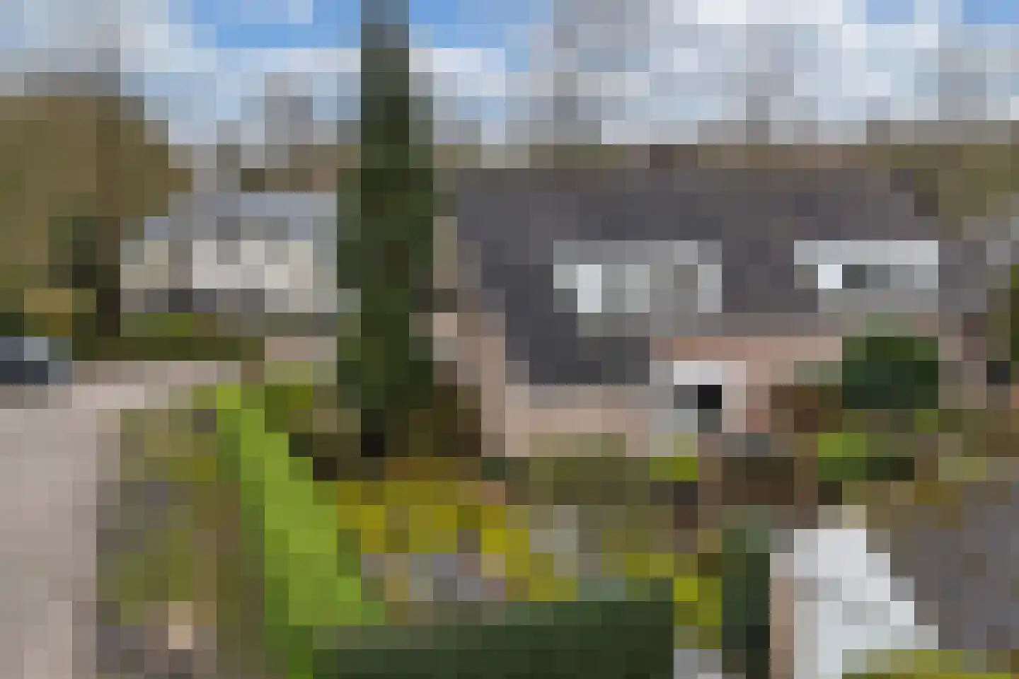 Piersonlaan 16 Huizen thumbnail 31