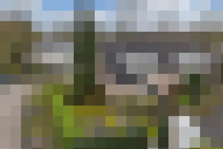 Piersonlaan 16 Huizen thumbnail 31