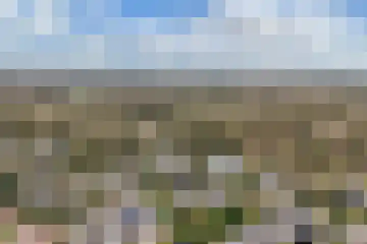 Piersonlaan 16 Huizen thumbnail 33