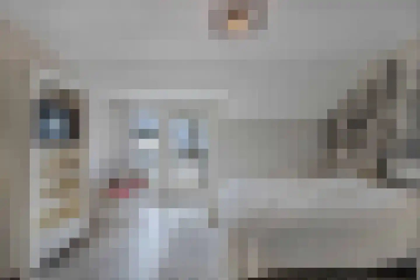 Piersonlaan 16 Huizen thumbnail 37