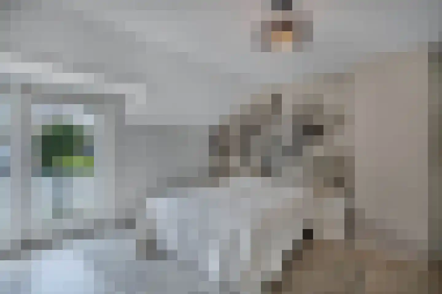 Piersonlaan 16 Huizen thumbnail 38