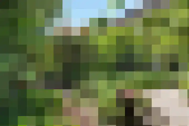 Piersonlaan 2 Amersfoort thumbnail 29