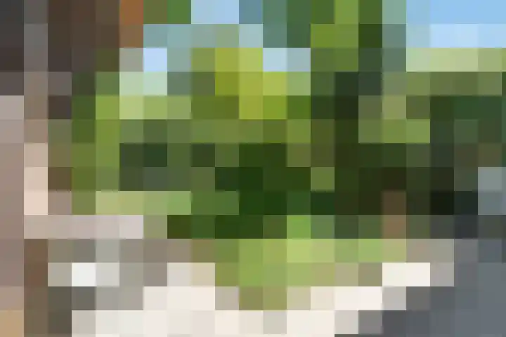 Piersonlaan 2 Amersfoort thumbnail 32
