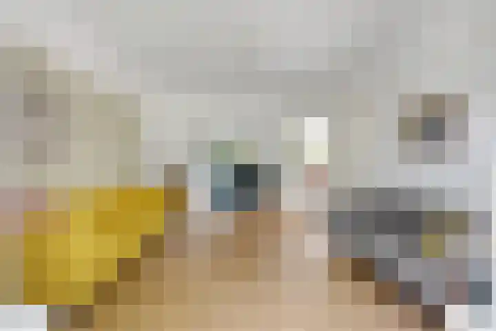 Piersonlaan 2 Amersfoort thumbnail 5