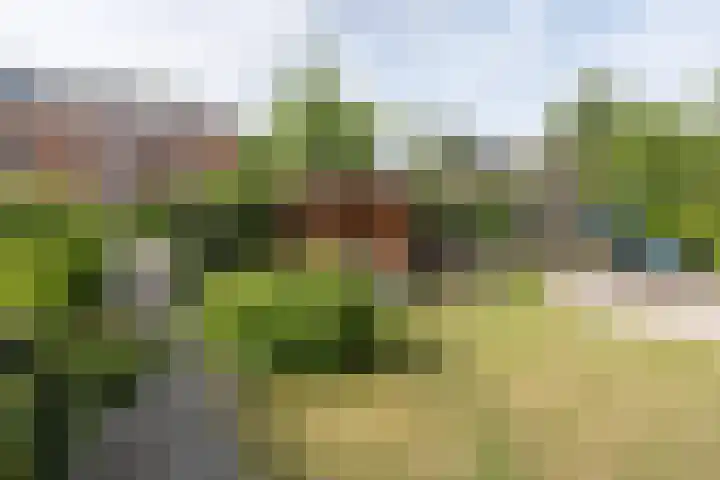 Piersonlaan 2 Naarden thumbnail 42