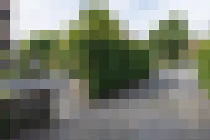 Piersonlaan 2 Naarden thumbnail 45