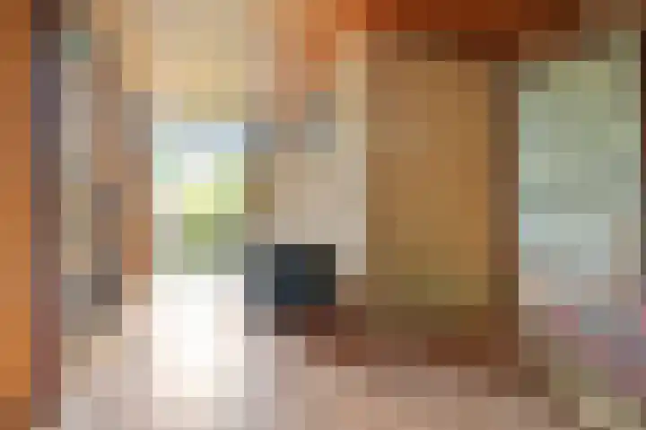 Piersonlaan 8 Huizen thumbnail 14