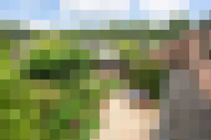 Piersonlaan 8 Huizen thumbnail 18