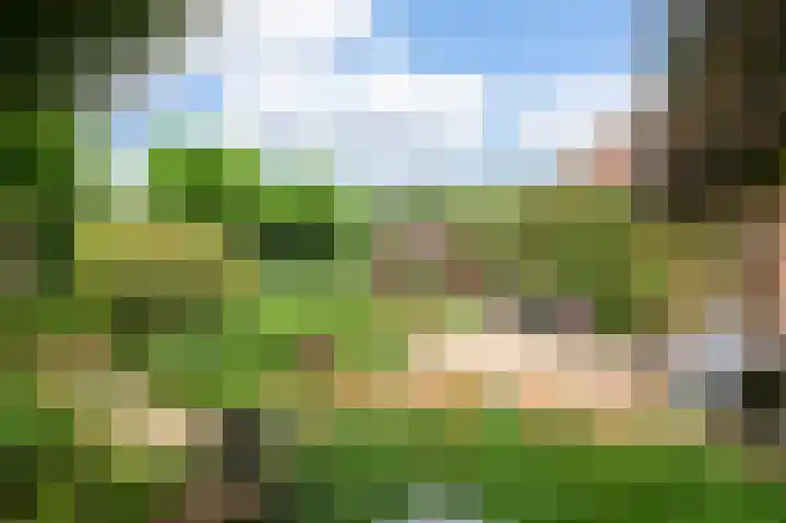 Piersonlaan 8 Huizen thumbnail 23