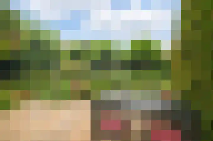 Piersonlaan 8 Huizen thumbnail 24