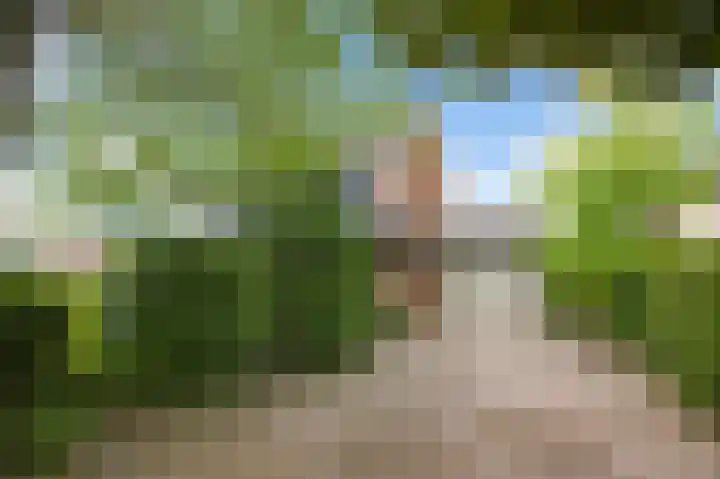 Piersonlaan 8 Huizen thumbnail 33