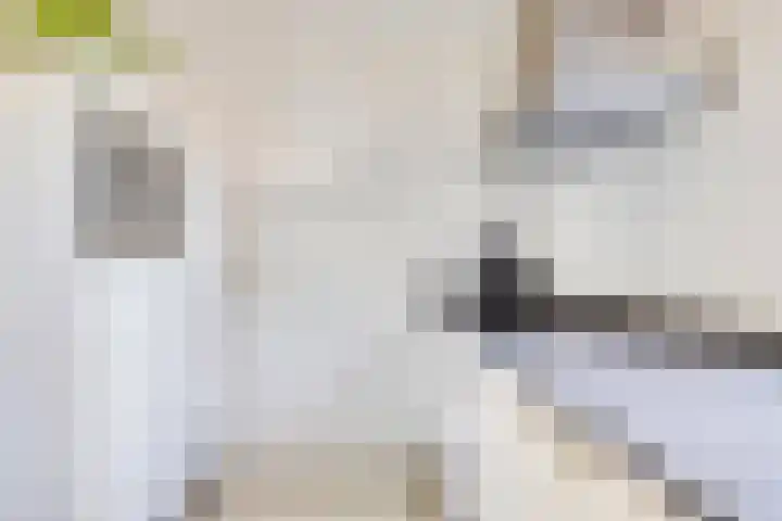 Piersonstraat 10 Winterswijk thumbnail 17