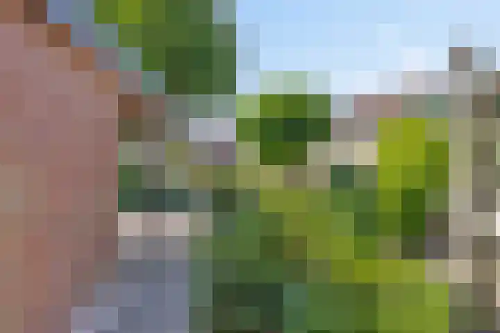 Piersonstraat 10 Winterswijk thumbnail 5