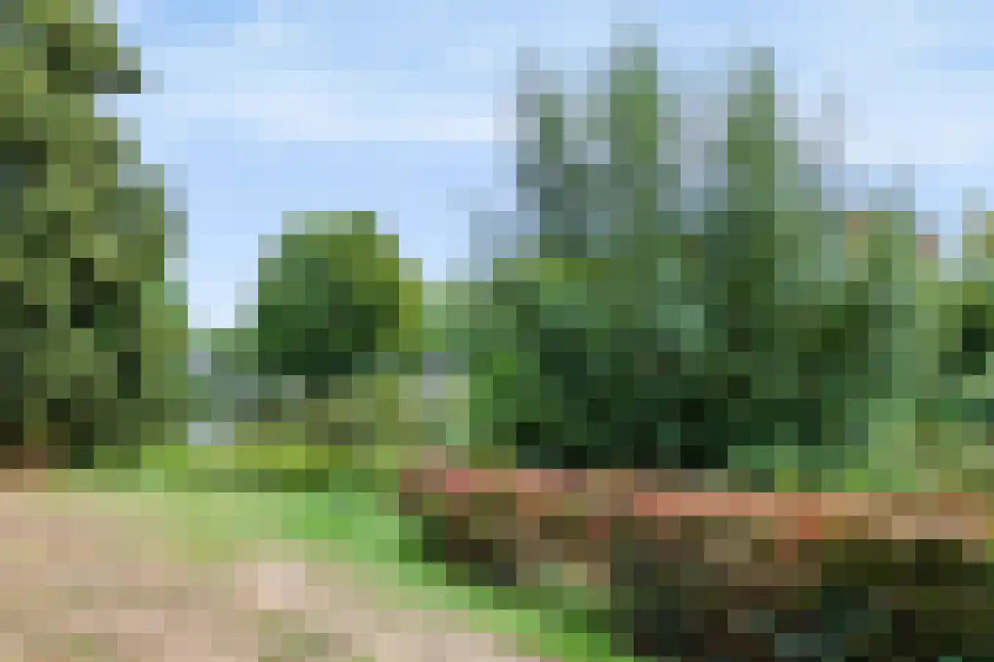 Piersonstraat 18 Apeldoorn thumbnail 23