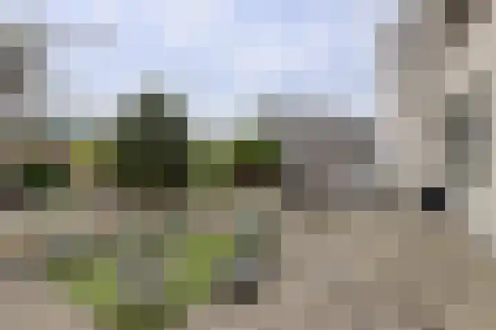 Piersonstraat 2 Katwijk thumbnail 31