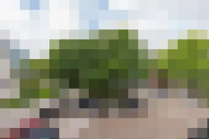 Piersonstraat 20 Katwijk thumbnail 5