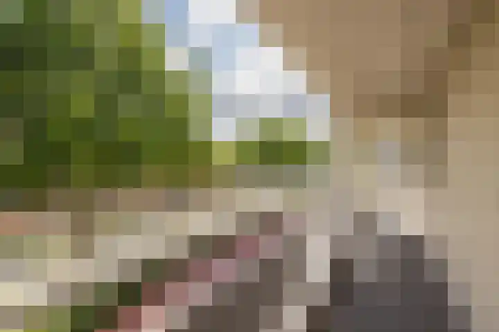 Piersonstraat 20 Katwijk thumbnail 7