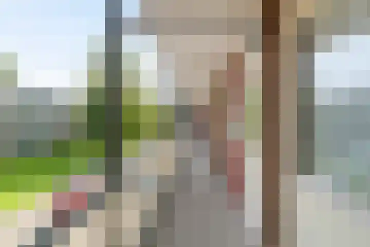 Piersonstraat 22 Apeldoorn thumbnail 5