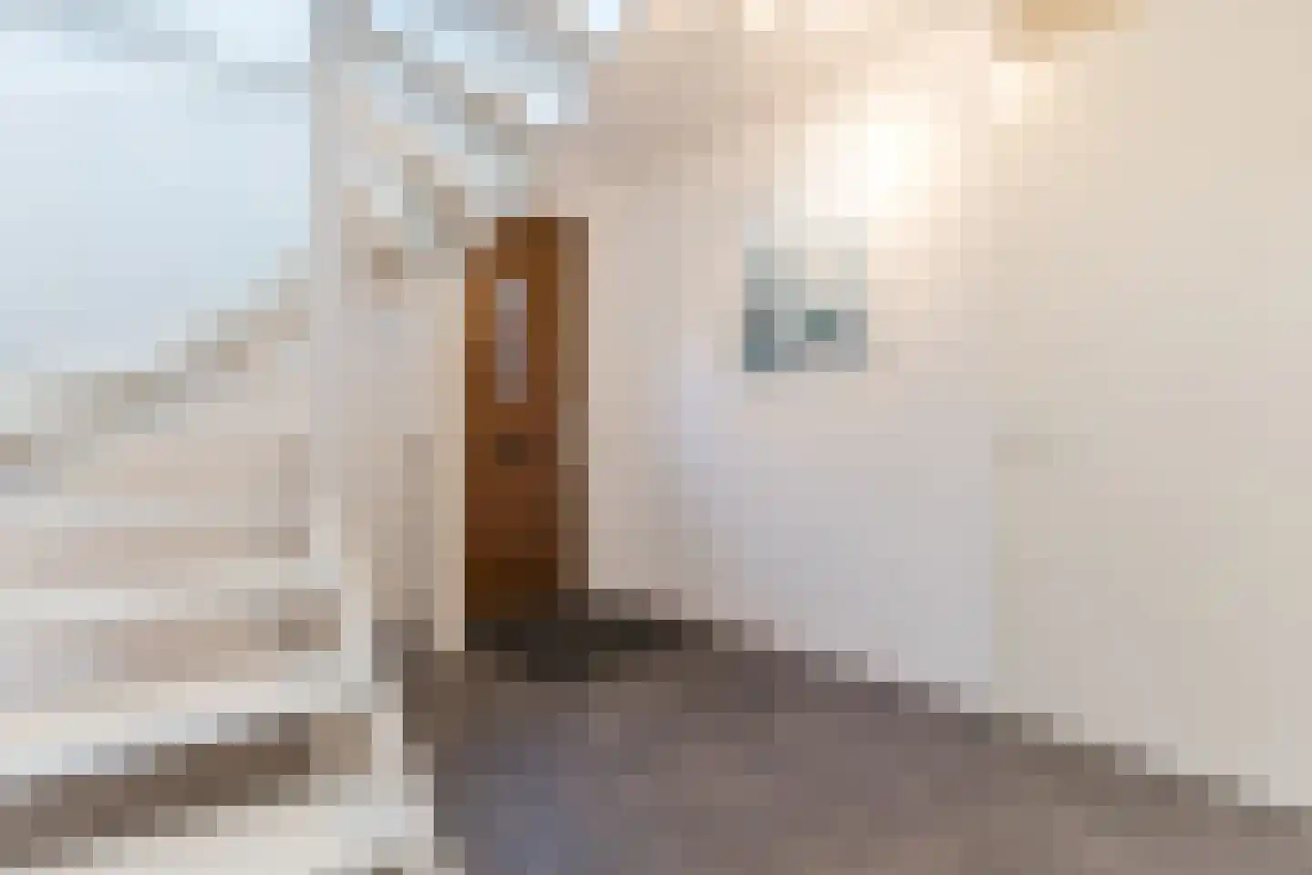 Piersonstraat 34 Dordrecht thumbnail 18