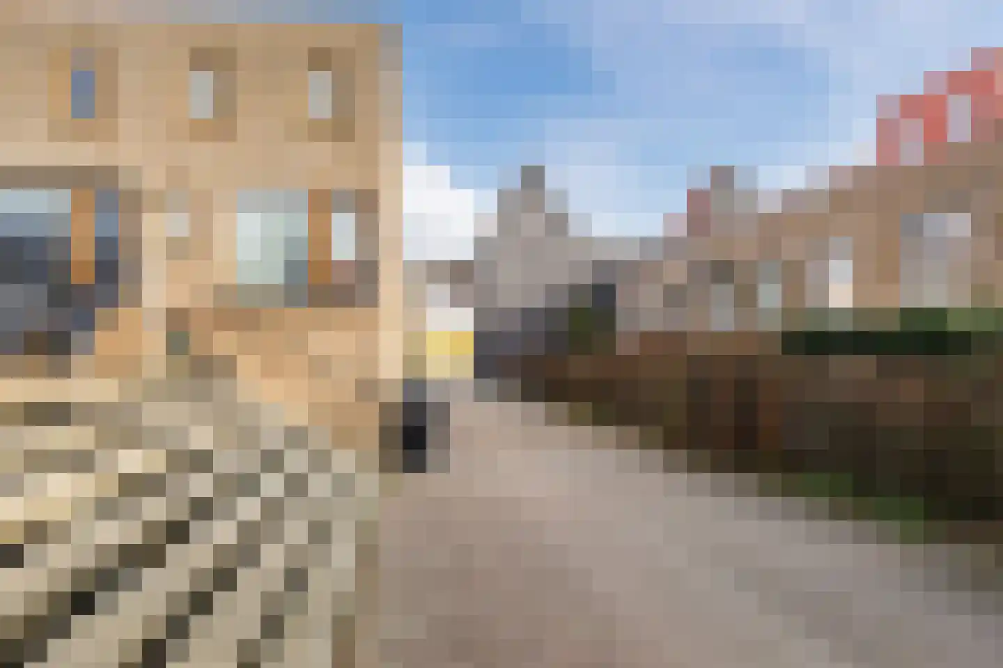 Piersonstraat 34 Dordrecht thumbnail 40