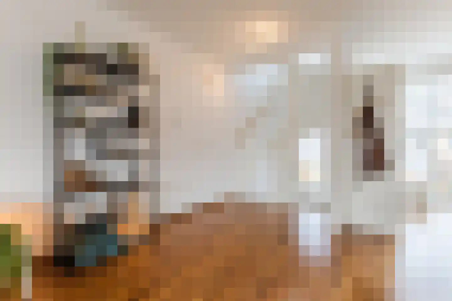 Piersonstraat 34 Dordrecht thumbnail 8